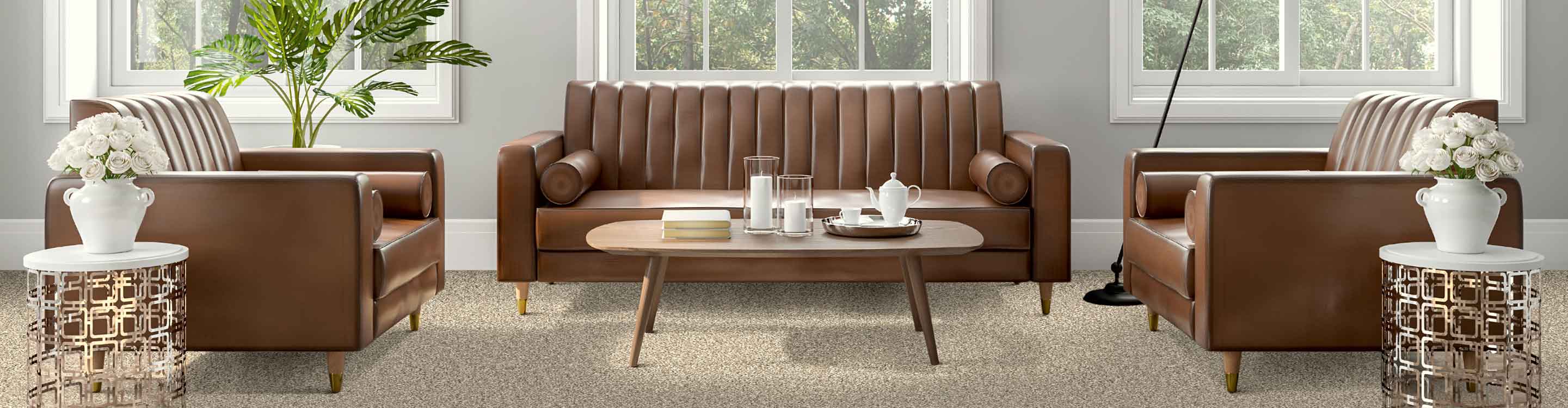 neutral carpet in living room